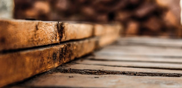 Acari del legno come riconoscerli ed eliminarli